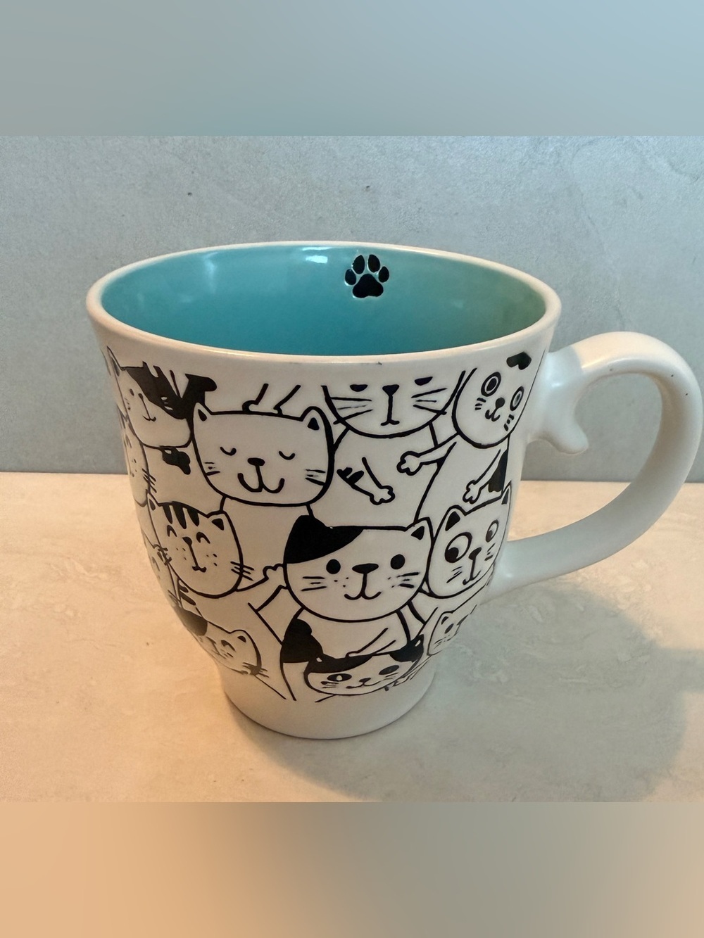 Spectrum Designz CAT FACE PALS Faces Mug 17oz Aqua Green Inside New